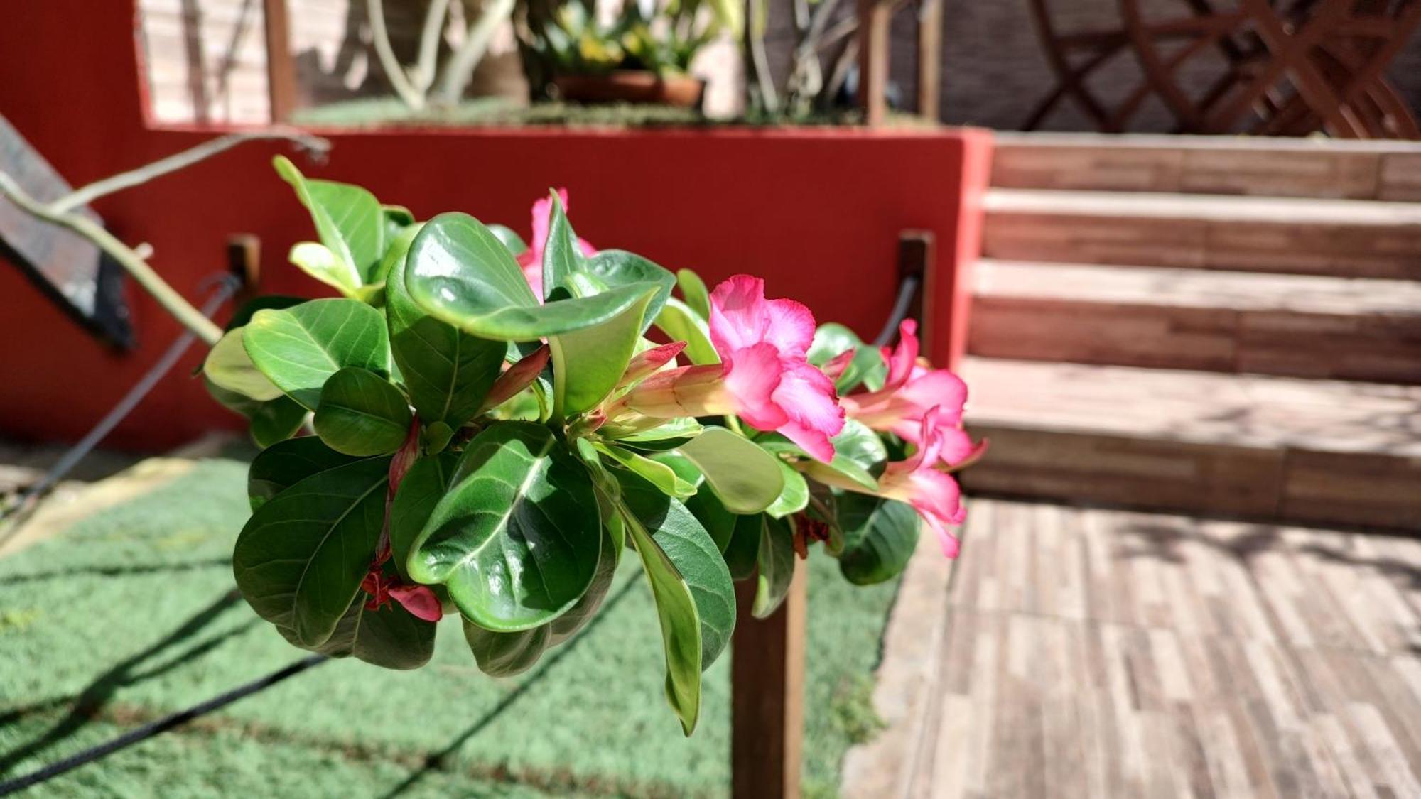 Pousada Bossa Nova Maceió Exterior foto