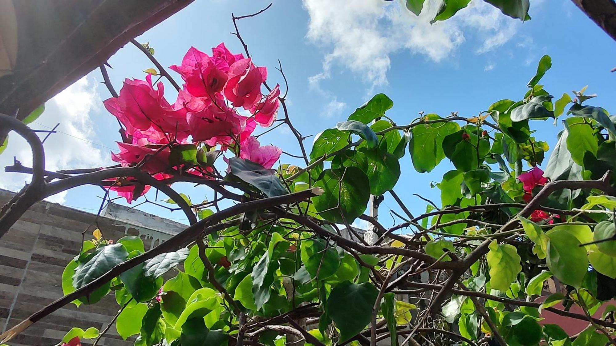 Pousada Bossa Nova Maceió Exterior foto