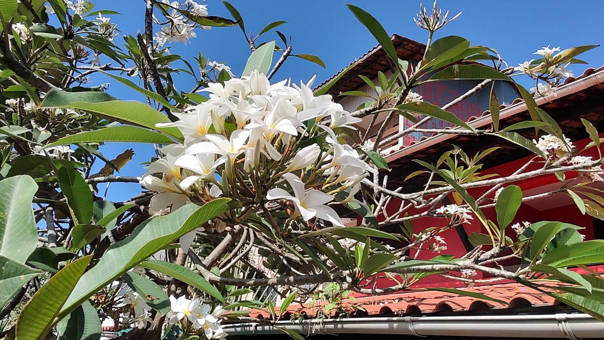 Pousada Bossa Nova Maceió Exterior foto